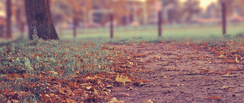 免费DDOS攻击测试工具